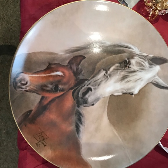 Top - Picture 5 of 6